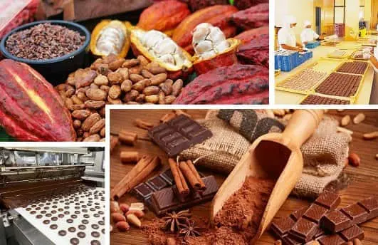 Como se creo la industria del chocolate