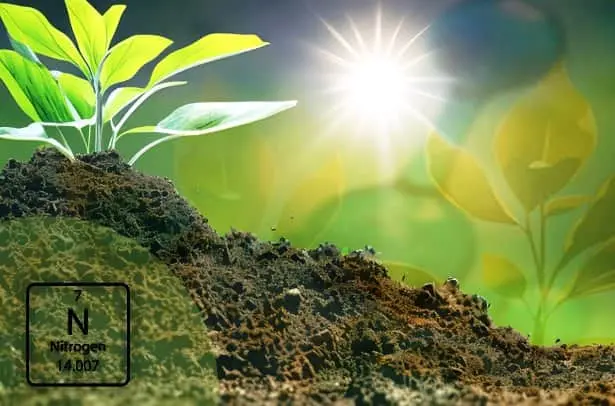 El Suelo Acumula Energía Solar